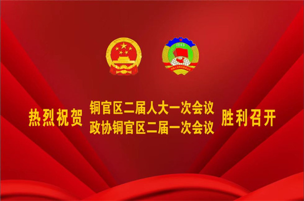 熱烈祝賀公司董事、副總經(jīng)理王從偉被選為 第二屆銅陵市銅官區(qū)政協(xié)常務(wù)委員